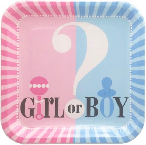 gender reveal party supplies boy or girl banner disposable paper plates 