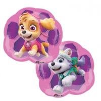 paw patrol girls