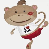 monkey i love you party